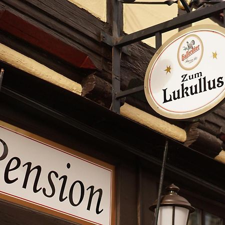 Pension Zum Lukullus Wernigerode Exterior foto